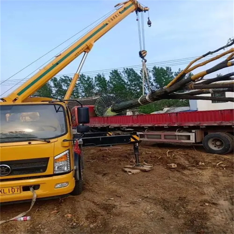 宜都100吨吊车租赁费用怎么算？3大关键因素+省钱技巧全解析